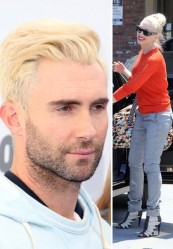 Adam Levine / Gwen Stefani