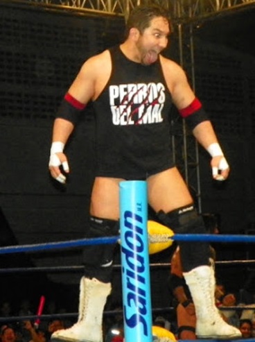 El Hijo Del Perro Aguayo