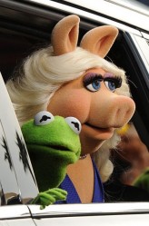 Kermit & Miss Piggy