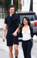 Shawn Mendes & Camila Cabello