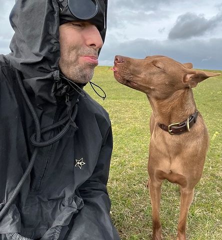 Liam Gallagher